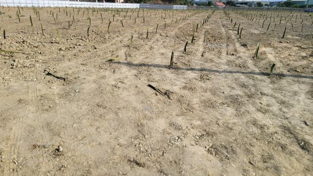 7+1工商不動產的物件介紹圖片