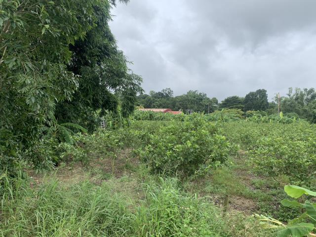 7+1工商不動產的物件介紹圖片