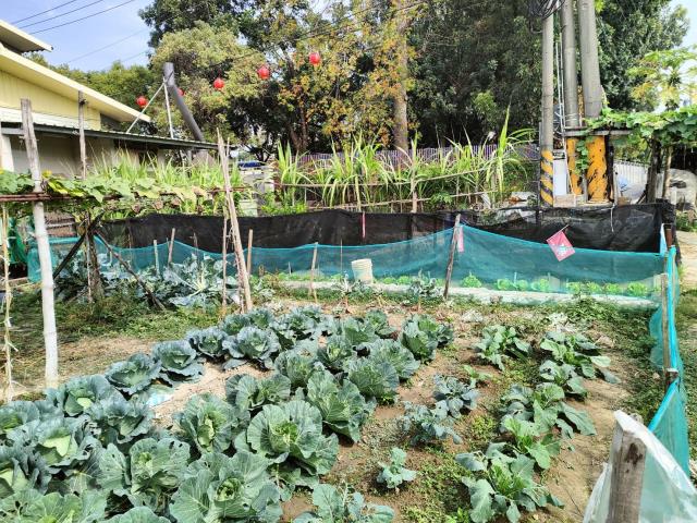 7+1工商不動產的物件介紹圖片