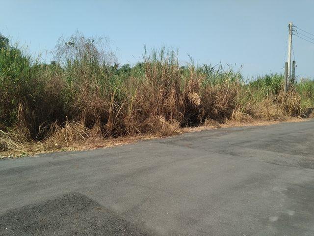 7+1工商不動產的物件介紹圖片