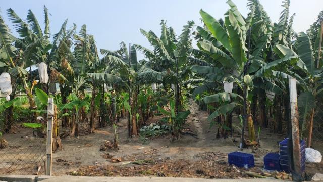 7+1工商不動產的物件介紹圖片