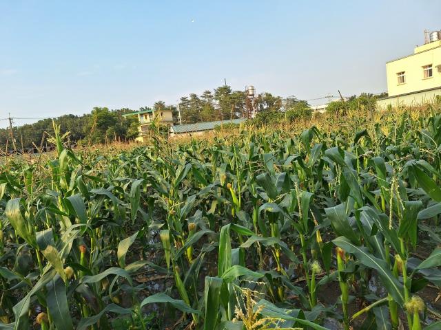 7+1工商不動產的物件介紹圖片