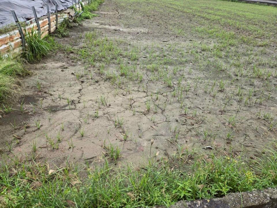 7+1工商不動產的物件介紹圖片