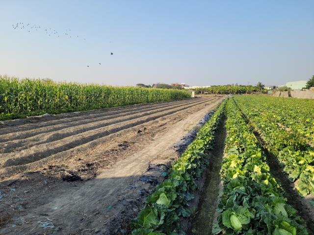 7+1工商不動產的物件介紹圖片