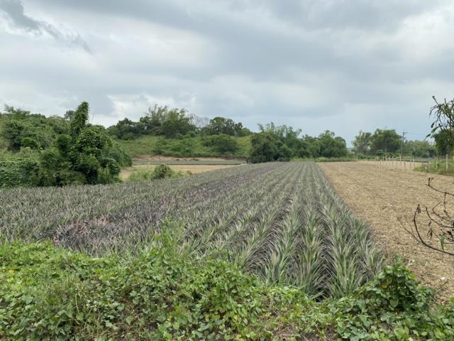 7+1工商不動產的物件介紹圖片