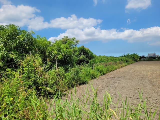 7+1工商不動產的物件介紹圖片