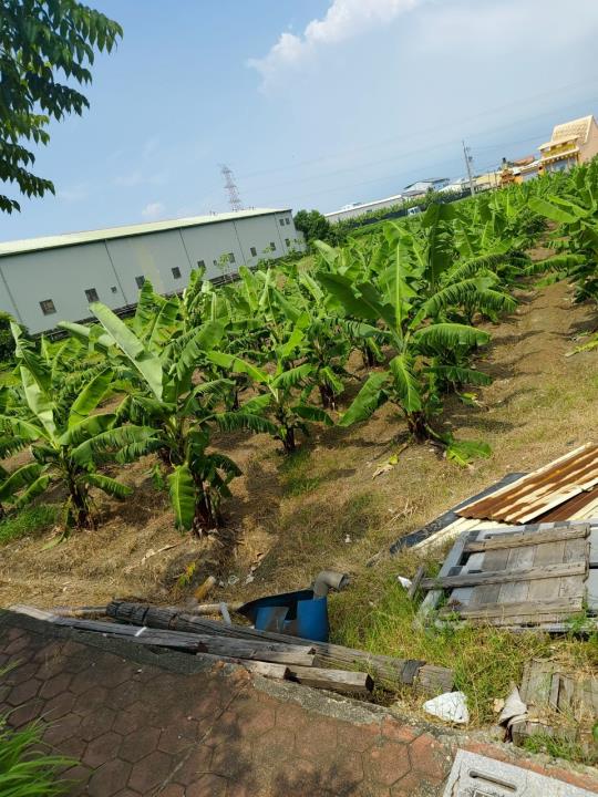 7+1工商不動產的物件介紹圖片