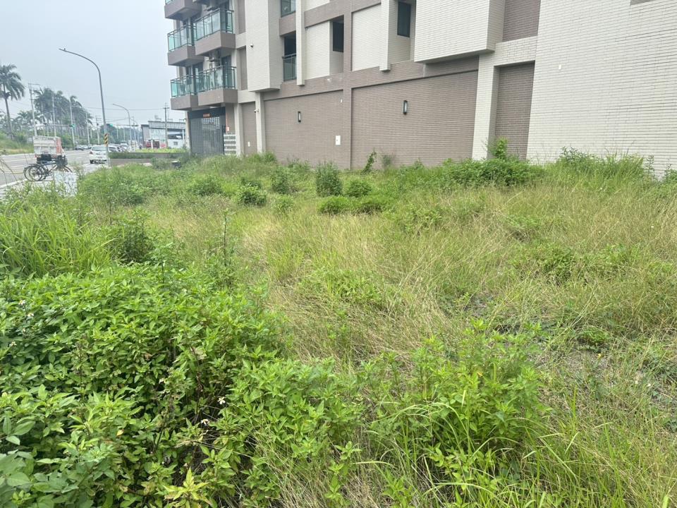 岡山大路邊農地的第2張圖片