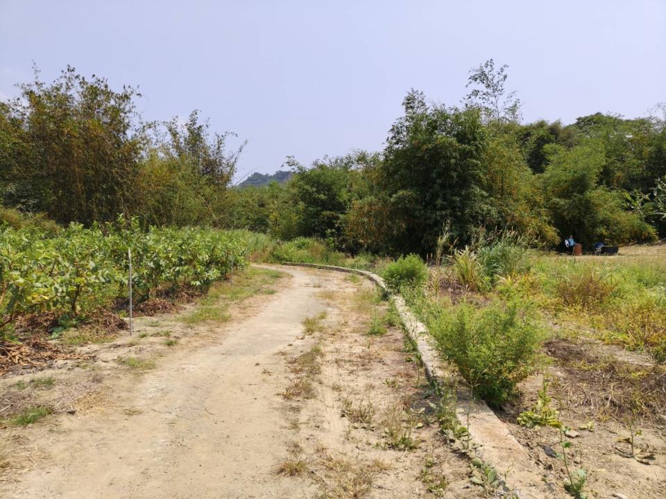 燕巢近金山路都外農地的第2張圖片