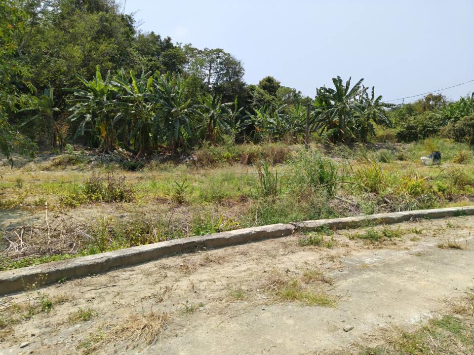 燕巢近金山路都外農地的第4張圖片
