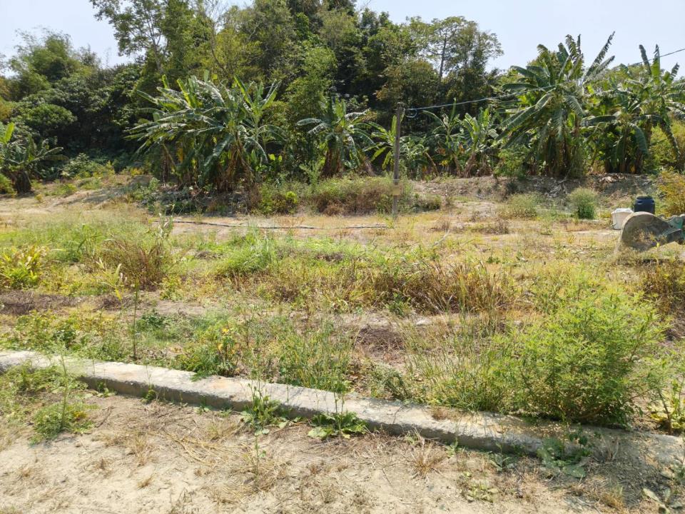 燕巢近金山路都外農地的第5張圖片