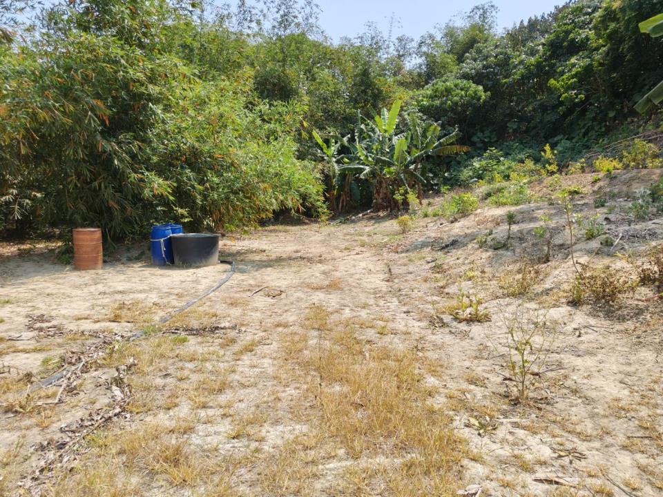 燕巢近金山路都外農地的第6張圖片
