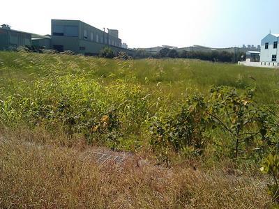 7+1工商不動產的物件介紹圖片