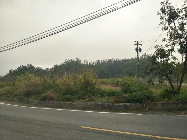 燕巢區農地的第2張圖片