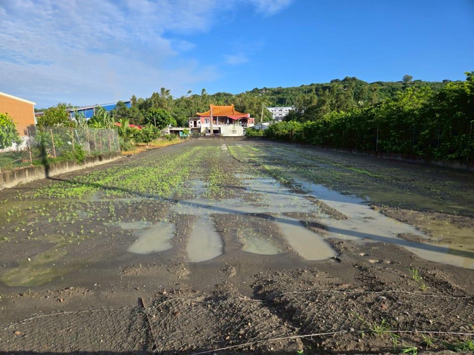 7+1工商不動產的物件介紹圖片