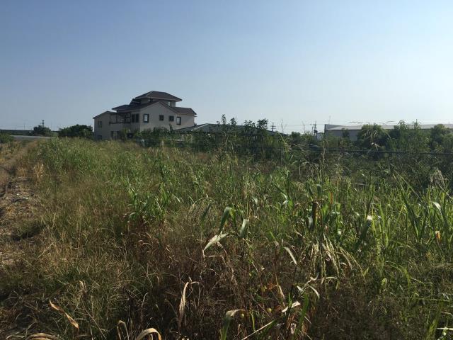 7+1工商不動產的物件介紹圖片