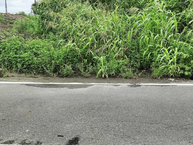 7+1工商不動產的物件介紹圖片