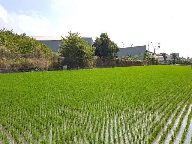 7+1工商不動產的物件介紹圖片
