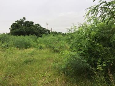 7+1工商不動產的物件介紹圖片