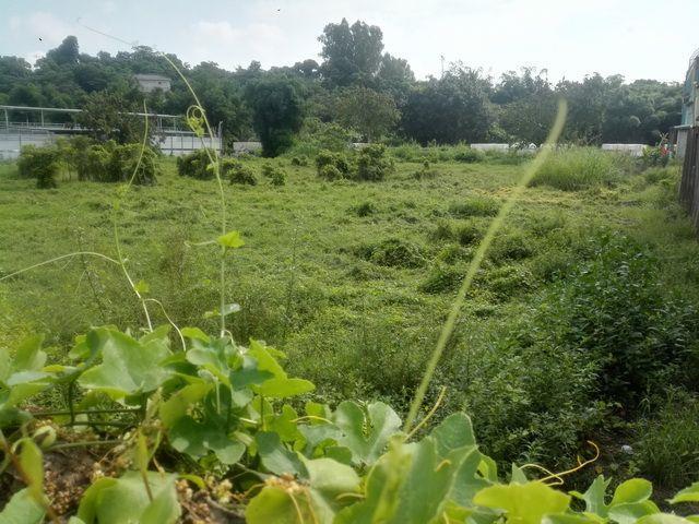 7+1工商不動產的物件介紹圖片
