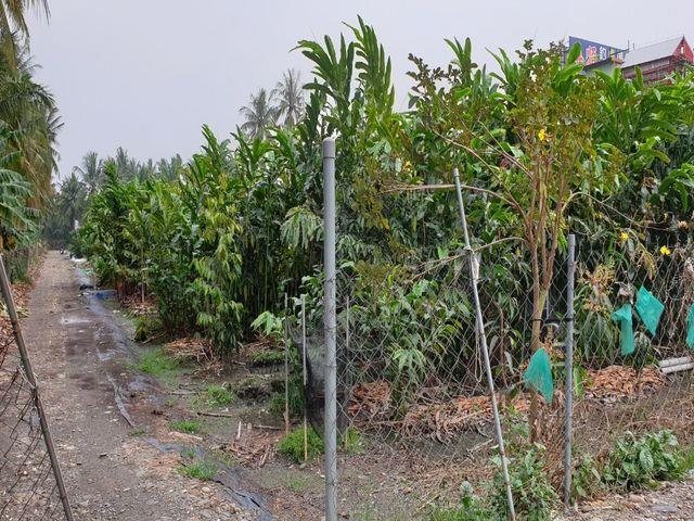 7+1工商不動產的物件介紹圖片