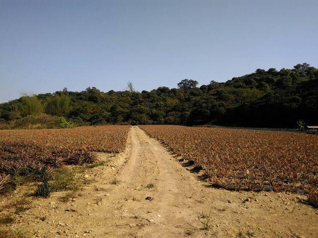 7+1工商不動產的物件介紹圖片