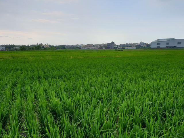 7+1工商不動產的物件介紹圖片