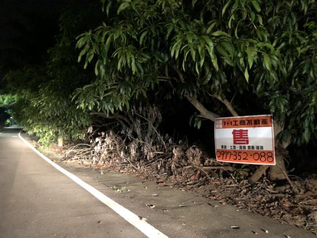 內門可農保休閒果園出售的第2張圖片