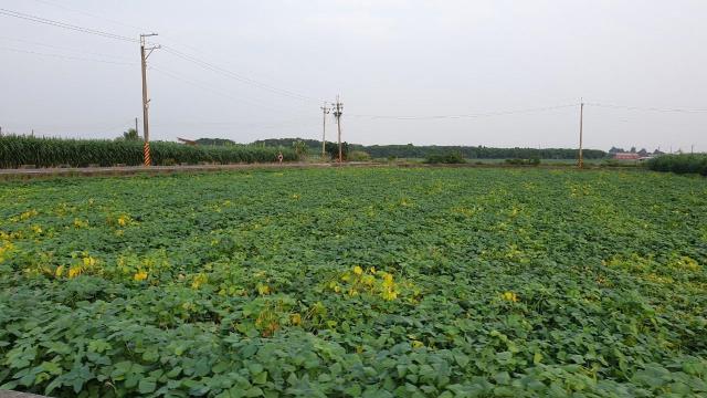 7+1工商不動產的物件介紹圖片