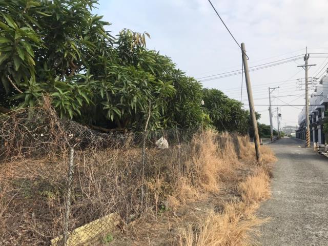7+1工商不動產的物件介紹圖片