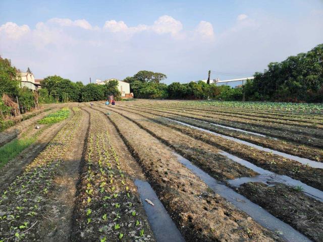 7+1工商不動產的物件介紹圖片
