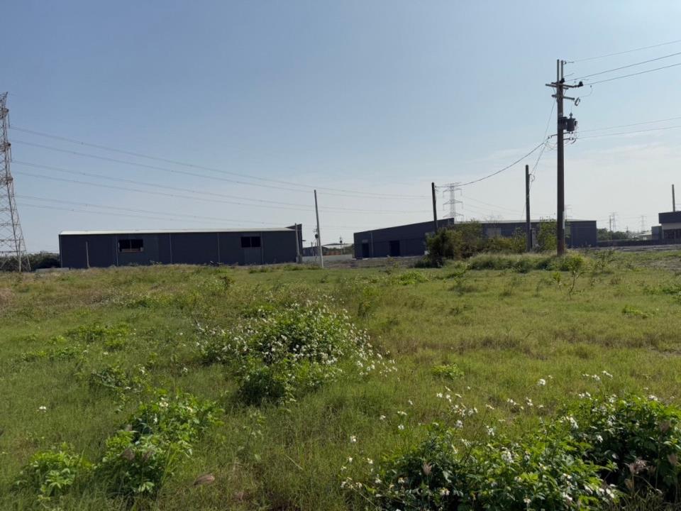 湖內大面寬農地的第3張圖片