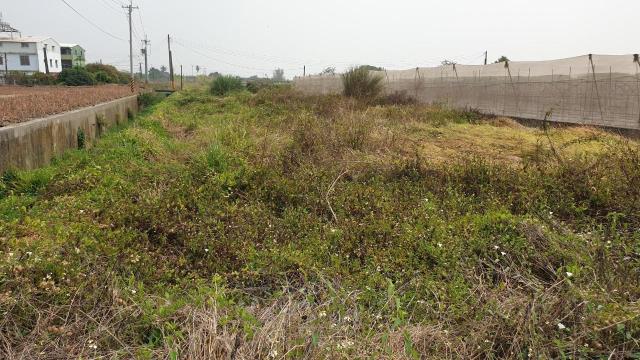 7+1工商不動產的物件介紹圖片