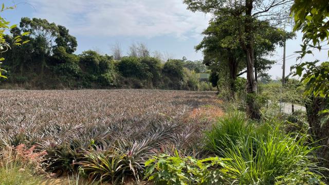 7+1工商不動產的物件介紹圖片