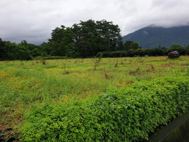 7+1工商不動產的物件介紹圖片