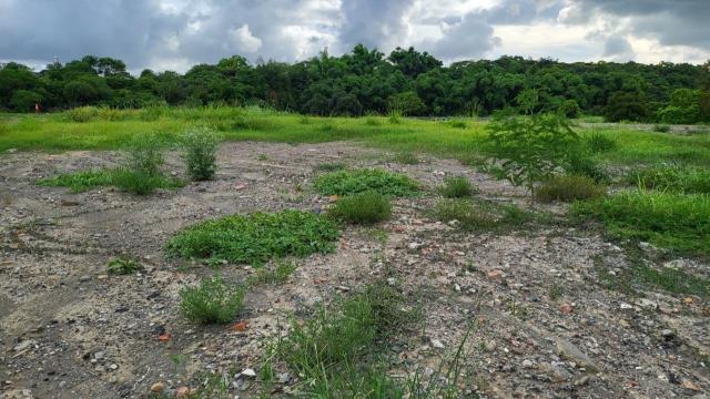 7+1工商不動產的物件介紹圖片