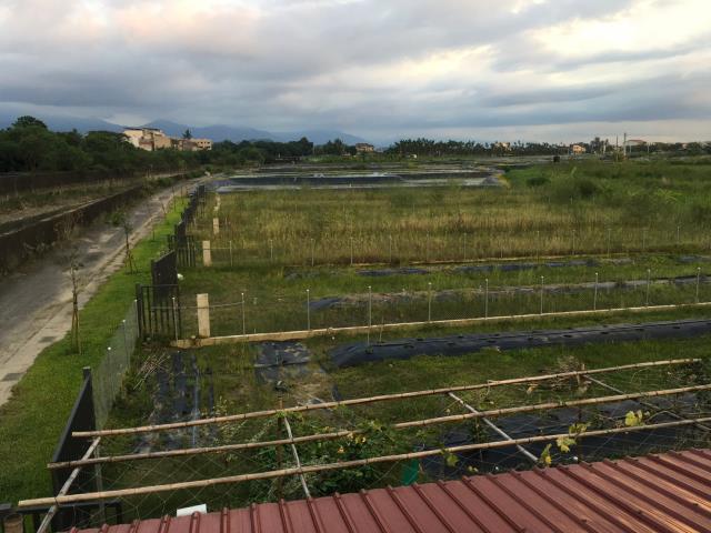 7+1工商不動產的物件介紹圖片