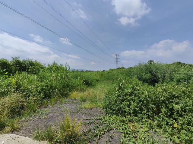 7+1工商不動產的物件介紹圖片