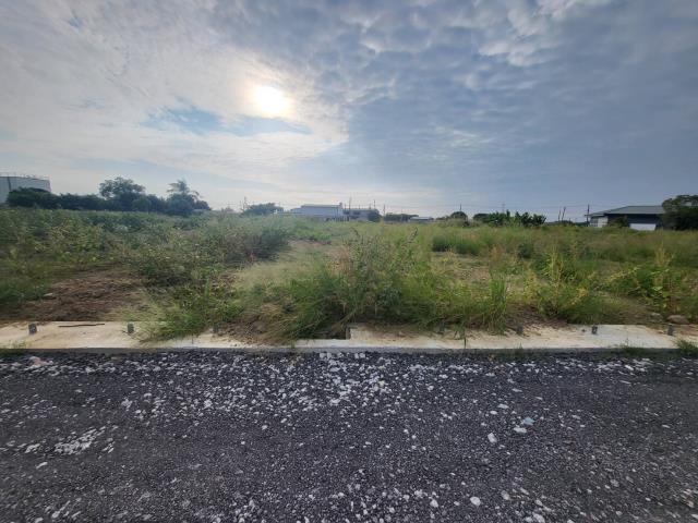 湖內方正農地(A12)的第3張圖片
