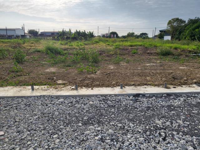 湖內方正農地(A15)的第2張圖片