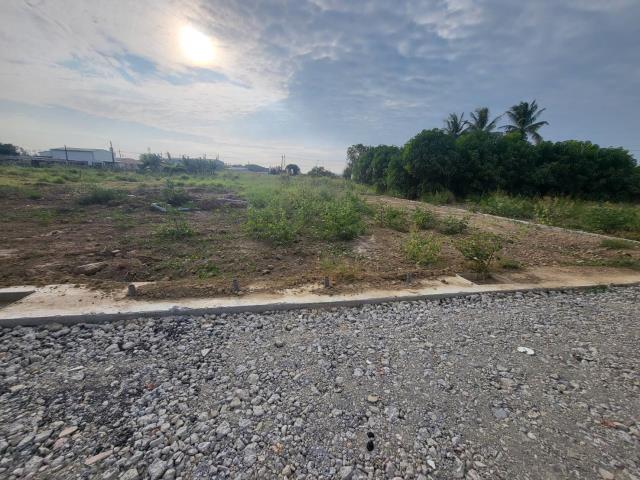 湖內方正農地(A16)的第2張圖片