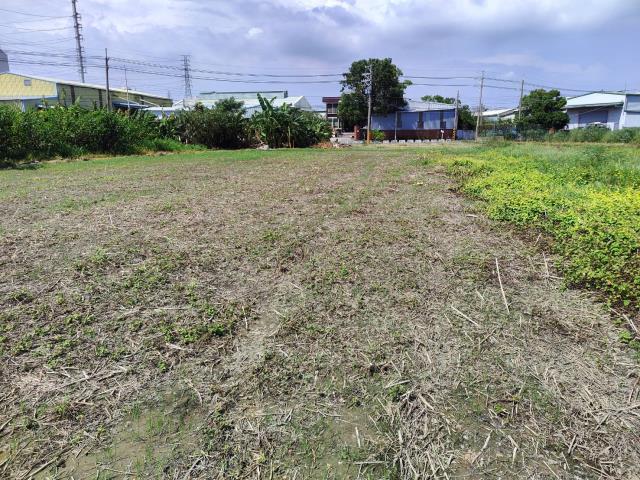 橋頭都外農地的第2張圖片