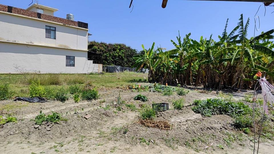 路科臨路大坪數大面寬農舍(地)的第2張圖片