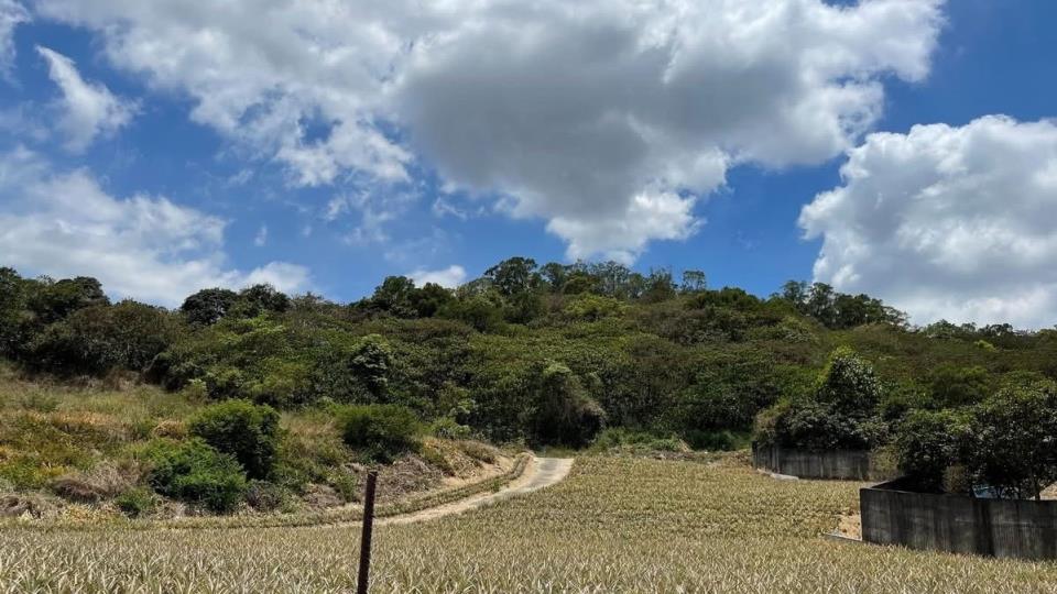 7+1工商不動產的物件介紹圖片