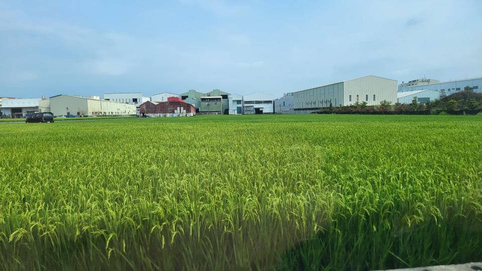 鳥松方正都內農地B8的第2張圖片