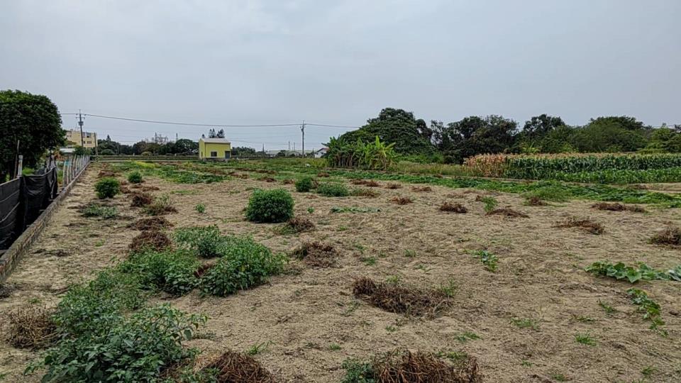 7+1工商不動產的物件介紹圖片
