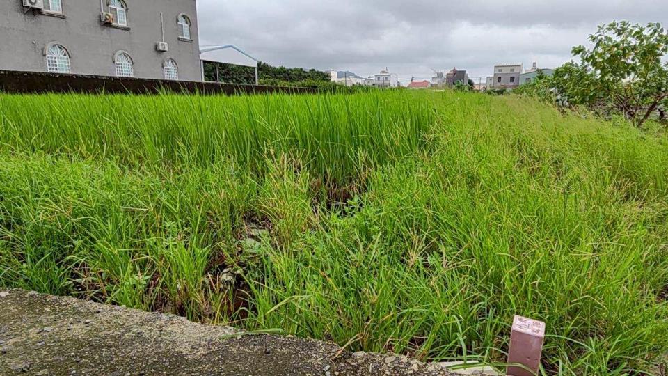 7+1工商不動產的物件介紹圖片