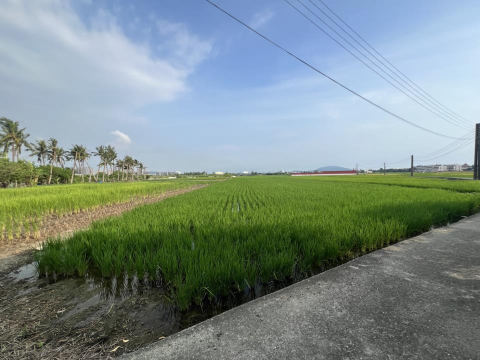 7+1工商不動產的物件介紹圖片