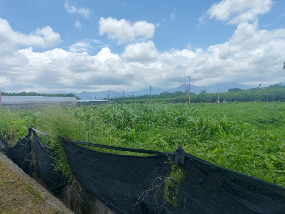 找高雄土地,高雄工業地,高雄市土地出售,高雄市土地出租的第3張圖片