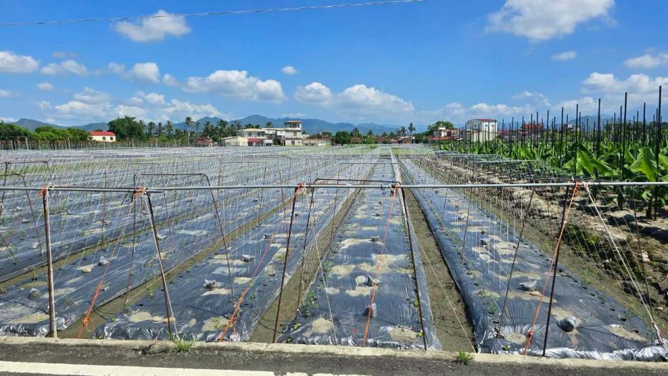找高雄土地,高雄工業地,高雄市土地出售,高雄市土地出租的第5張圖片